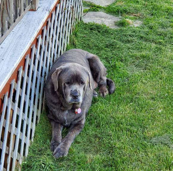 Meet your Posher, Dina - Picture 1 of 1